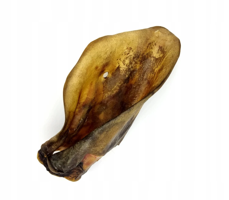Gryzak-dla-psa-Ucho-wolowe-naturalne.jpg
