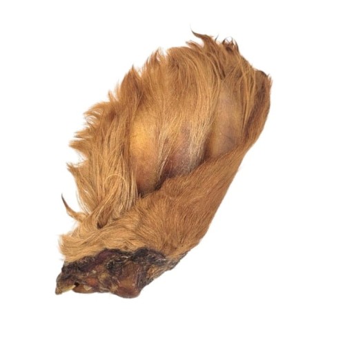 Naturalny-gryzak-przysmak-dla-psa-Ucho-wolowe-naturalne-z-futrem-wlosem-Photoroom.jpg