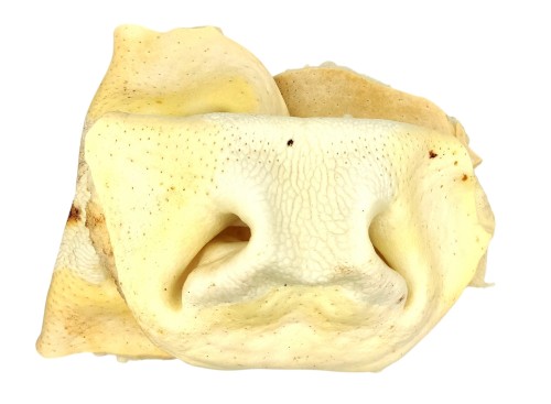 Gryzak-dla-psa-Nos-wolowy-bialy-1szt-2.jpg