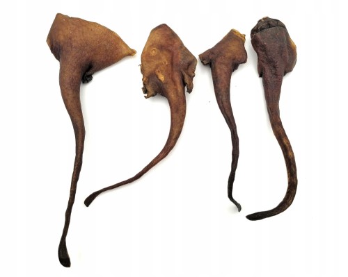 Naturalny-przysmak-gryzak-dla-psa-Ogon-dzika-dziczyzna-naturalny-200g.jpg