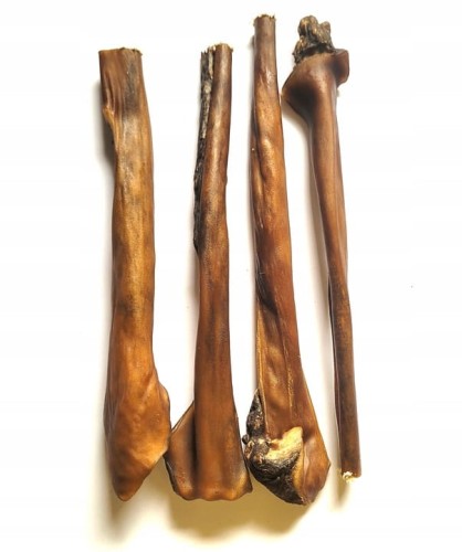 Naturalny-przysmak-dla-psa-Skora-z-konia-duza-naturalna-30cm-Nazwa-handlowa-Skora-z-konia-30cm.jpg