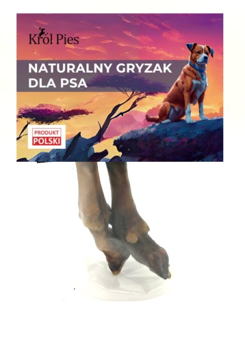 racica-owcza.jpg