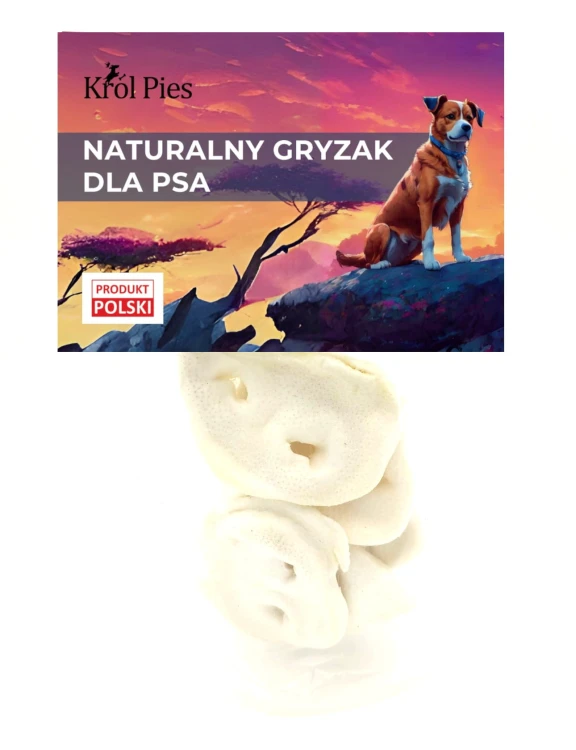 noswieprzbialy.jpg
