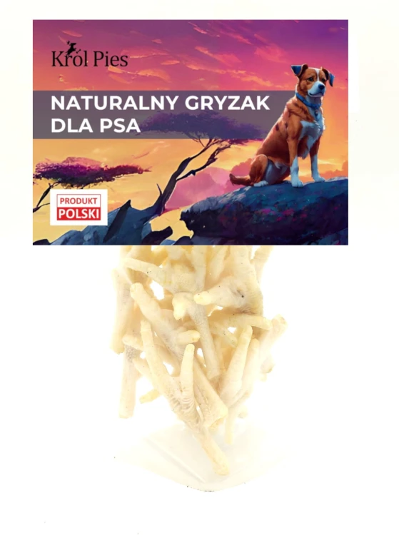 lapka-kurza-biala.jpg