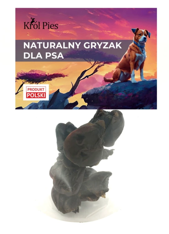 nos-dzika.jpg
