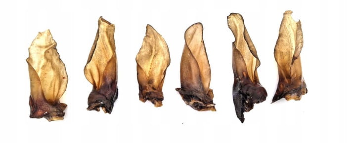 Naturalny-przysmak-gryzak-dla-psa-Ucho-sarny-sarnina-dziczyzna-3szt-EAN-GTIN-5906449290307.jpg