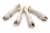 ChatGPT Image Mar 25, 2026, 09_34_09 AM.png