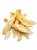 ChatGPT Image May 19, 2026, 02_33_36 PM.png