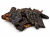 ChatGPT Image Oct 1, 2026, 11_29_37 AM.png