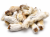 ChatGPT Image Sep 28, 2026, 11_38_02 AM.png