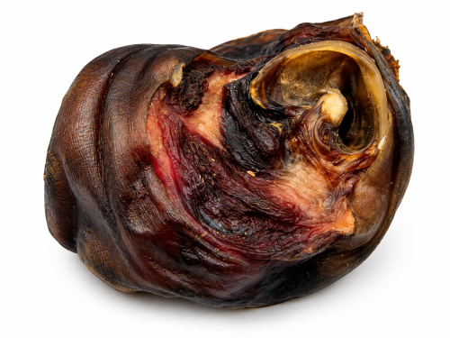 ChatGPT Image Sep 24, 2026, 11_49_08 AM.png