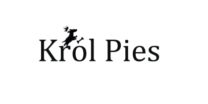 Shoper demo brak logo - strona główna